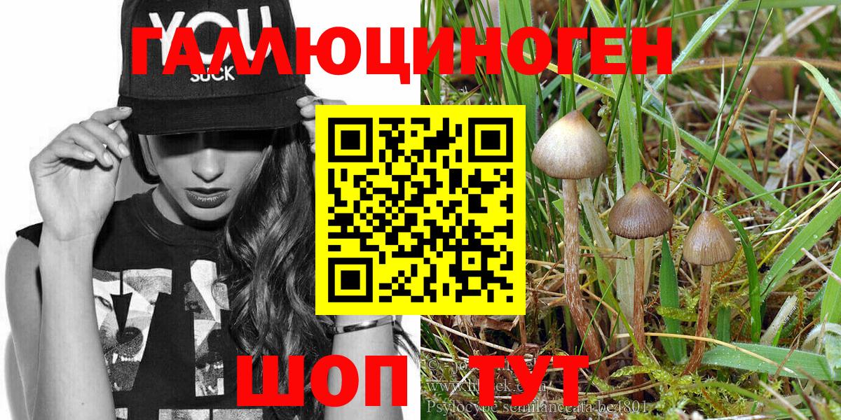 Лысьва  Галлюциногенные грибы Magic Shrooms  Галлюциногенные грибы MAGIC MUSHROOMS  Вход с VPN 