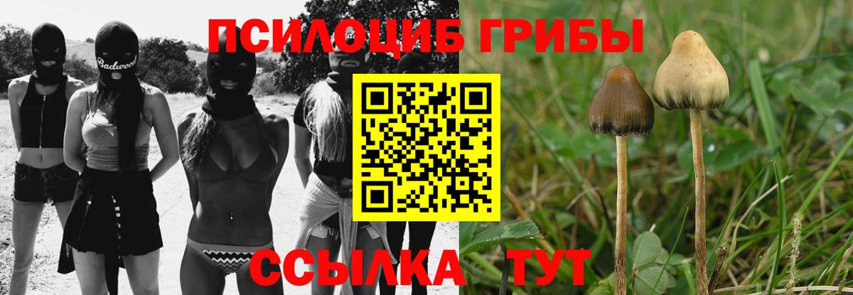 Псилоцибиновые грибы Magic Shrooms Лысьва